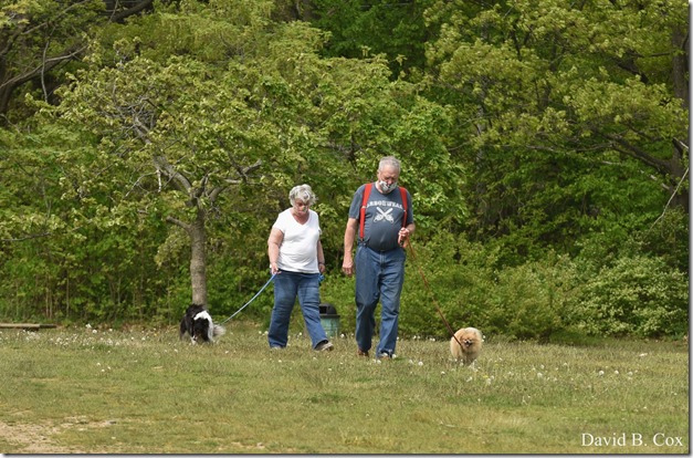 2020 5 28 Walks Blvd 055