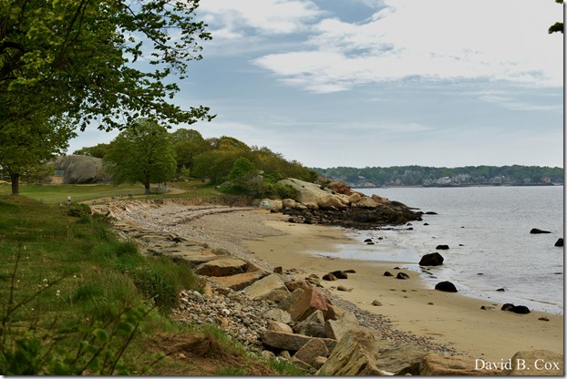 2020 5 28 Walks Blvd 063