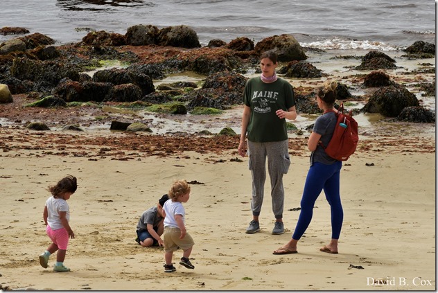 2020 5 28 Walks Blvd 069