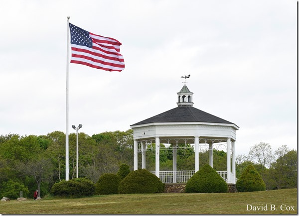 2020 5 28 Walks Blvd 071