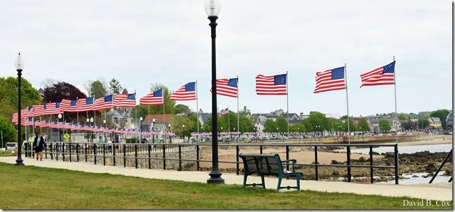 2020 5 28 Walks Blvd 079