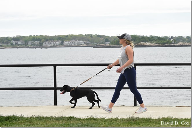 2020 5 28 Walks Blvd 083