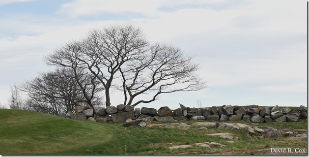 2020 5 3 Several Days D 750 012