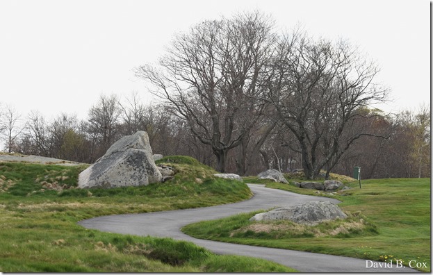 2020 5 3 Several Days D 750 013