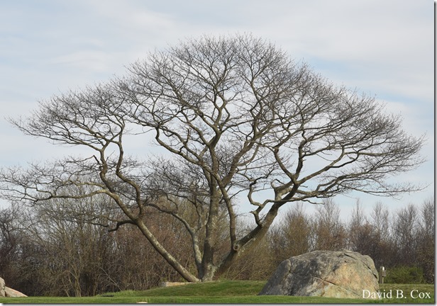 2020 5 3 Several Days D 750 020