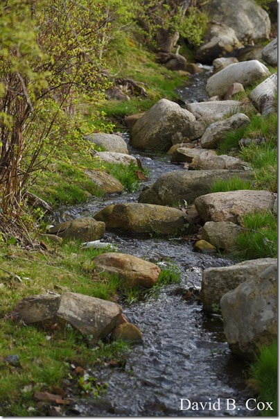 2020 5 3 Several Days D 750 029