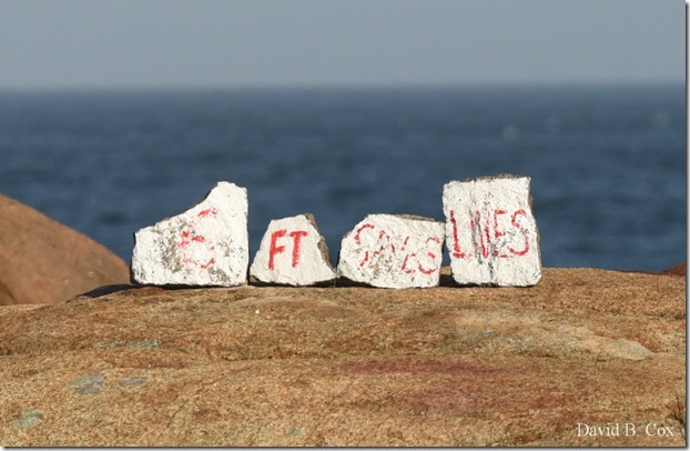 2020 5 3 Several Days D 750 072