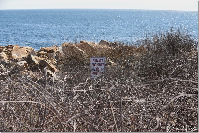 2020 5 5 Back shore Walks 006