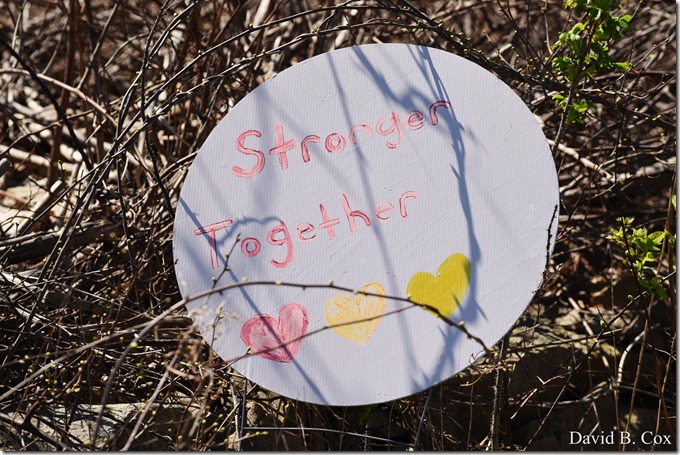 2020 5 5 Back shore Walks 012