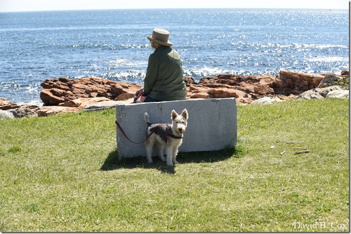 2020 5 5 Back shore Walks 026