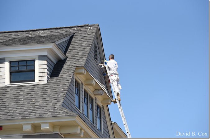 2020 5 5 Back shore Walks 045