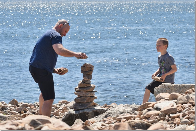 2020 5 5 Back shore Walks 101