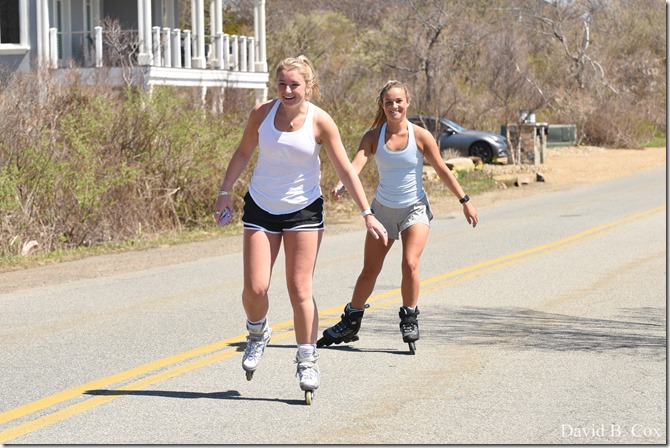 2020 5 5 Back shore Walks 114