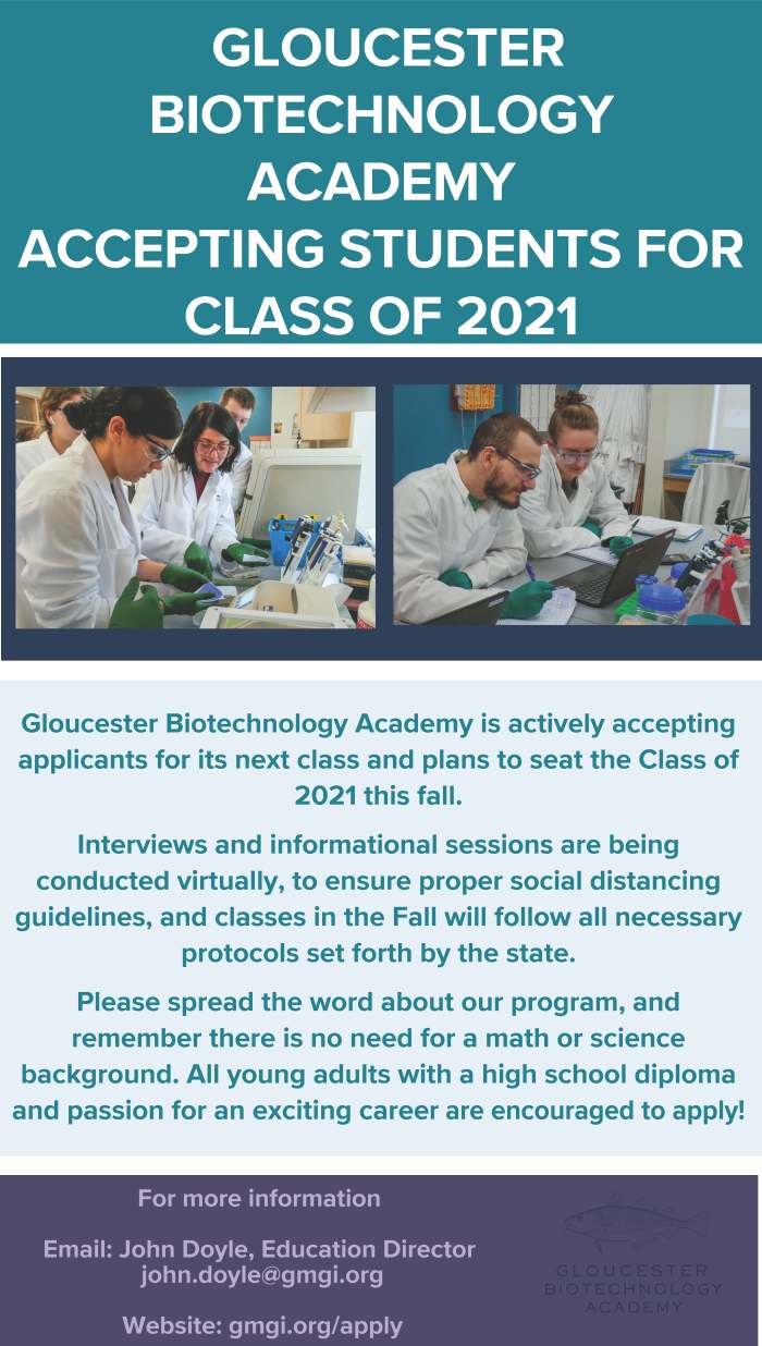 Academy Marketing PDF