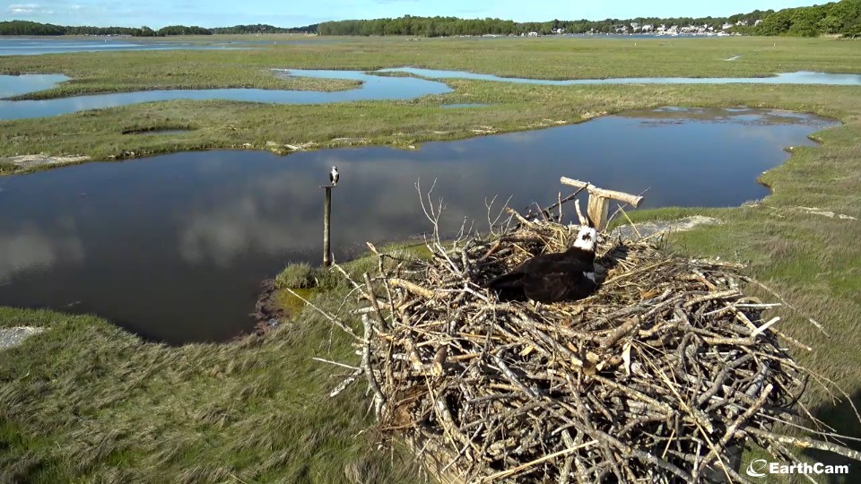 Essex-County-Greenbelt-Association_Camera_1590873922537