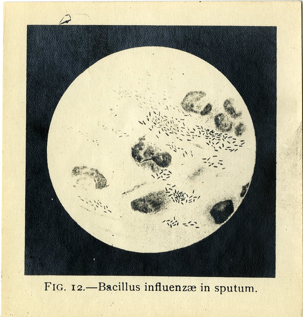 ( Nat. Mus. Health & Medical Museum)