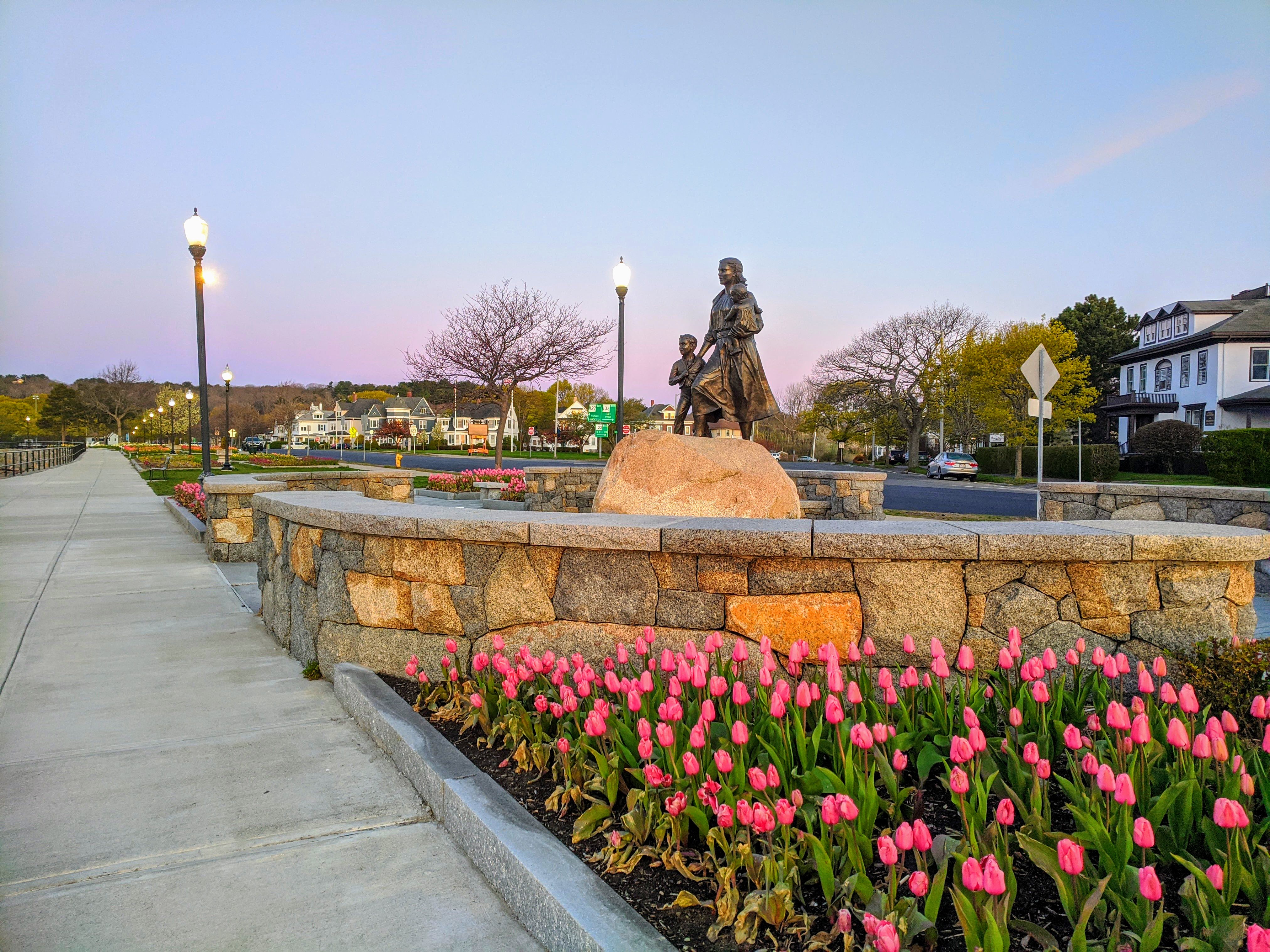 FISHERMENS WIVES MEMORIAL and pink tulips,sculptor Morgan Faulds Pike_Spring sunrise on Stacy Boulevard_5 May 2020 _Gloucester Ma., covid-19 © c ryan