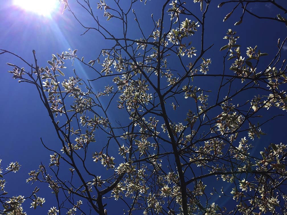 Image 5-4-20 at 6.36 PM.JPG