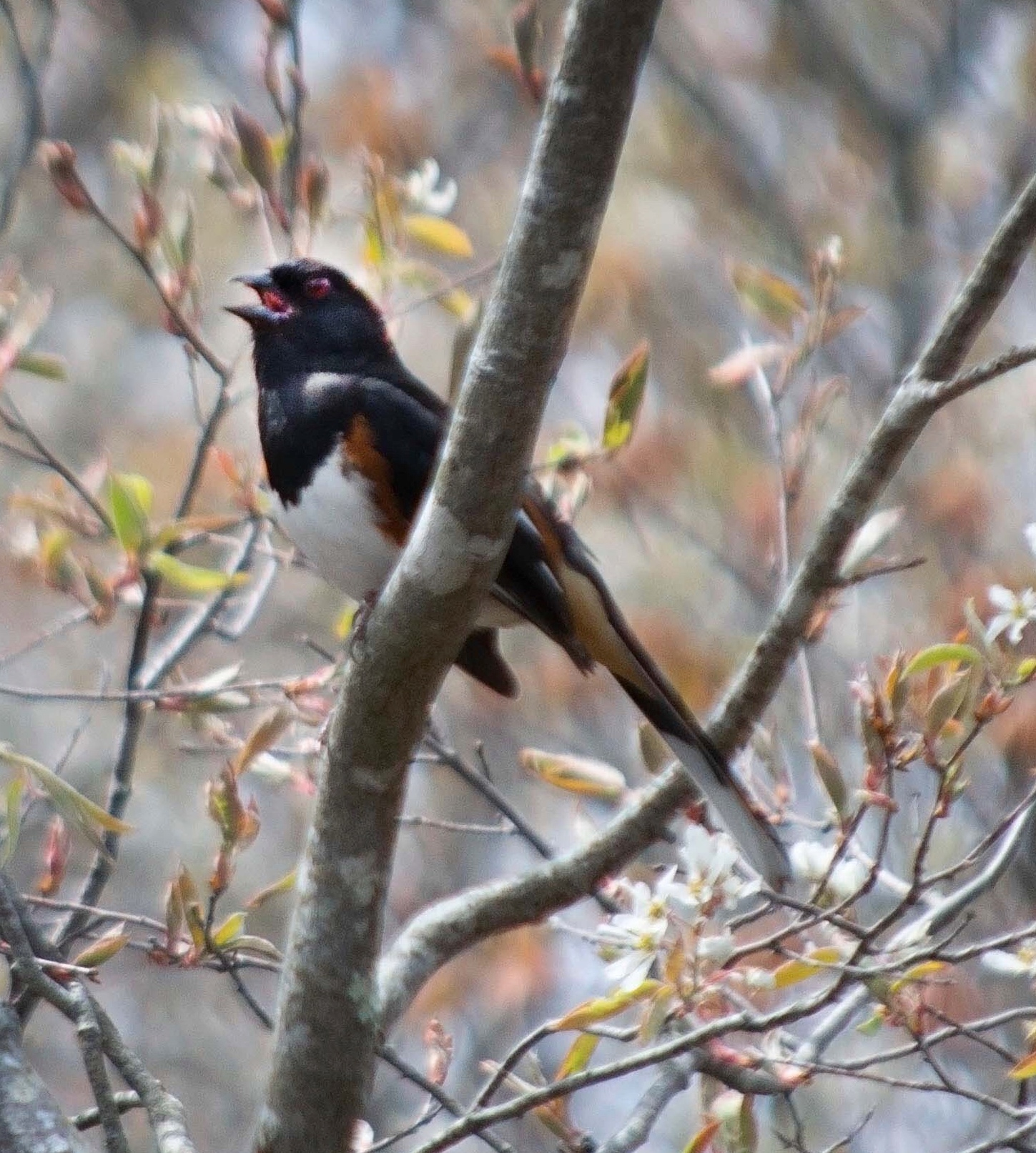 Image 5-9-20 at 8.00 PM