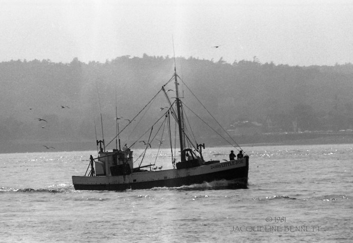 little joe coming home 1981 copy.JPG