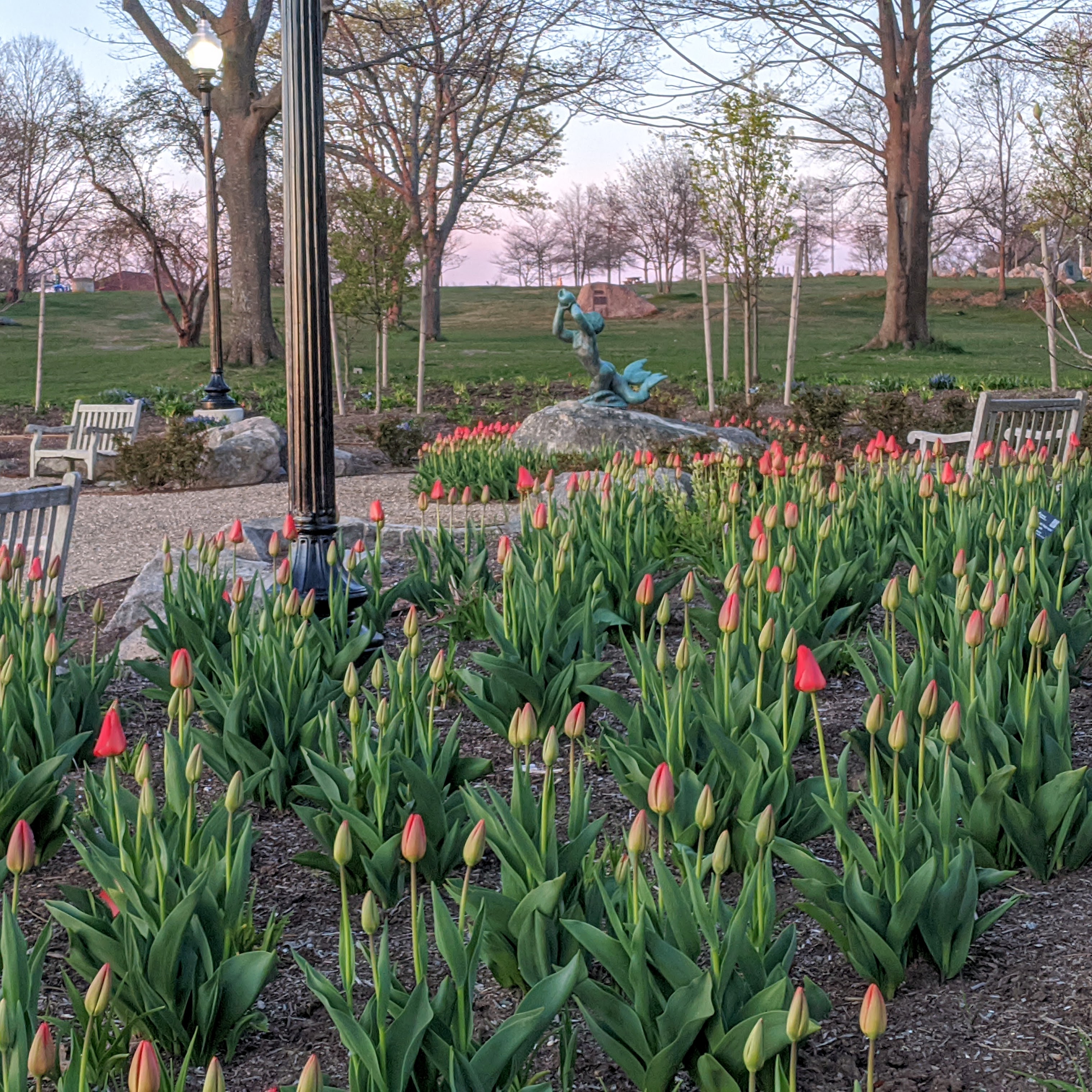 TRITON by Walker Hancock,Betty Smith Gardens,Ann Gilardi Johnson design & Generous Gardener volunt,Stacy Blvd, May 2020,Gloucester Ma.©c ryan (1)