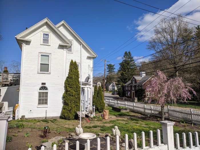 yard cleaning_double white _Gloucester Mass., 5 May 2020, © c ryan