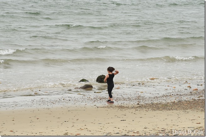 2020 5 31 Several Days Walks 033