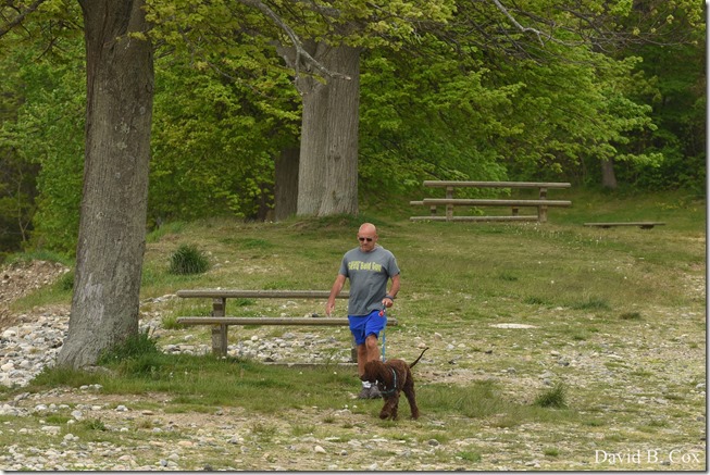 2020 5 31 Several Days Walks 041