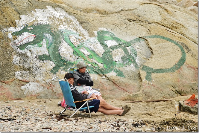 2020 5 31 Several Days Walks 045