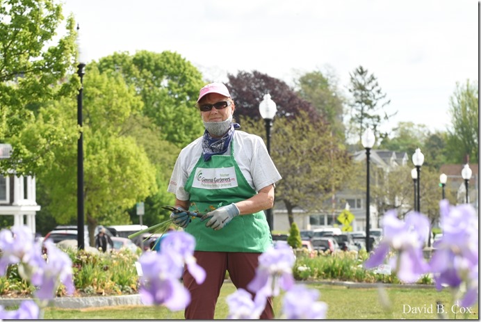 2020 5 31 Several Days Walks 066