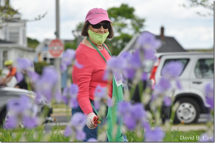 2020 5 31 Several Days Walks 088