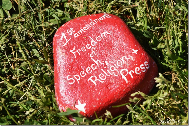 2020 6 1 Blvd painted Rocks & Protest At Rotary 003