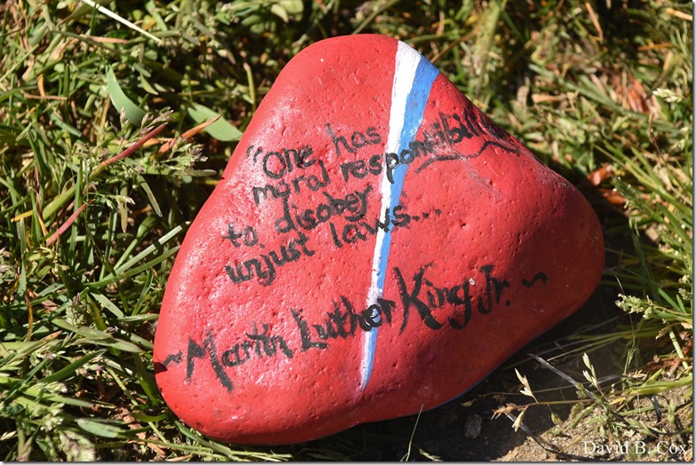 2020 6 1 Blvd painted Rocks & Protest At Rotary 004