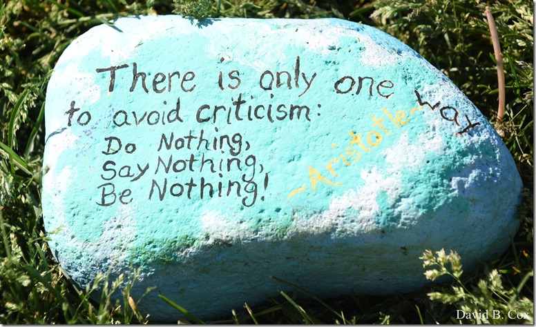 2020 6 1 Blvd painted Rocks & Protest At Rotary 006