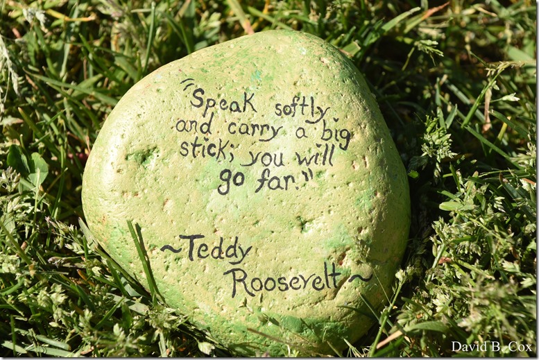 2020 6 1 Blvd painted Rocks & Protest At Rotary 007