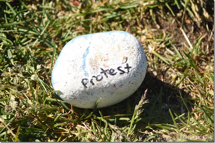 2020 6 1 Blvd painted Rocks & Protest At Rotary 008