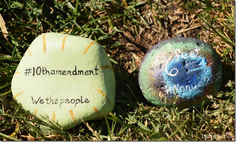 2020 6 1 Blvd painted Rocks & Protest At Rotary 009