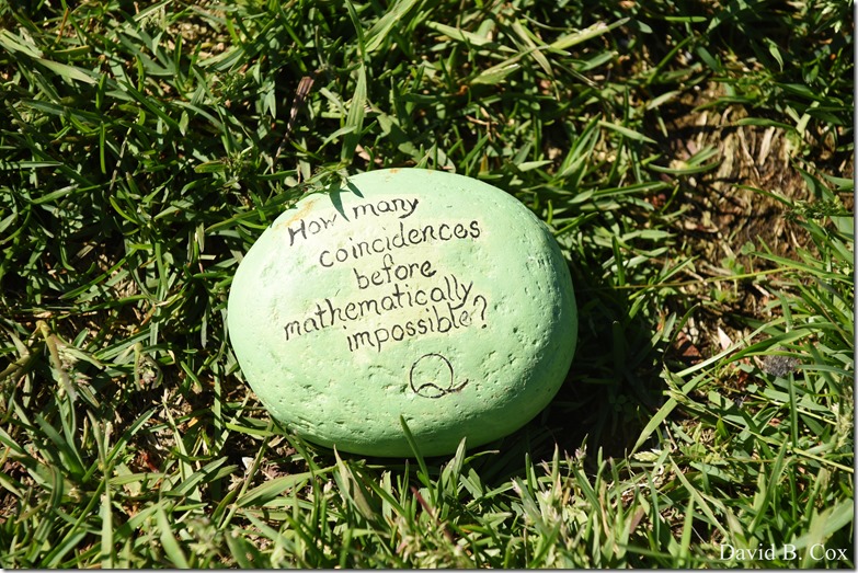2020 6 1 Blvd painted Rocks & Protest At Rotary 012