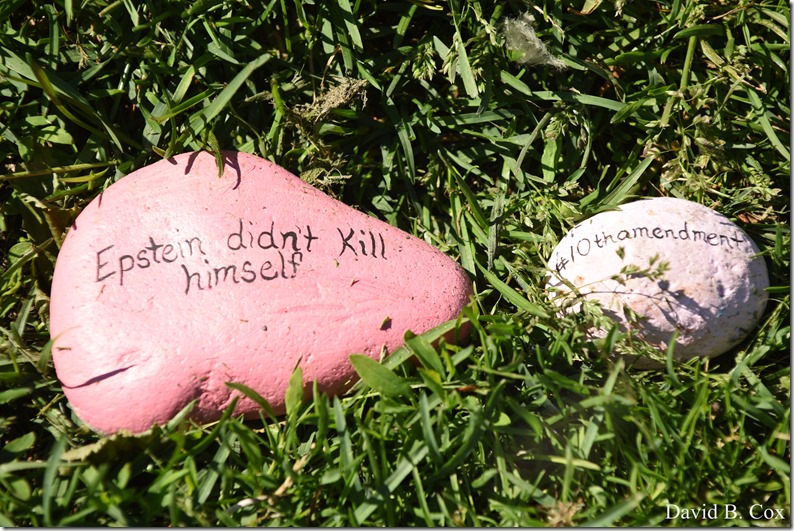 2020 6 1 Blvd painted Rocks & Protest At Rotary 015