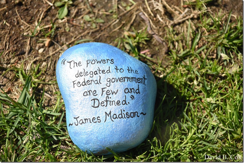 2020 6 1 Blvd painted Rocks & Protest At Rotary 016