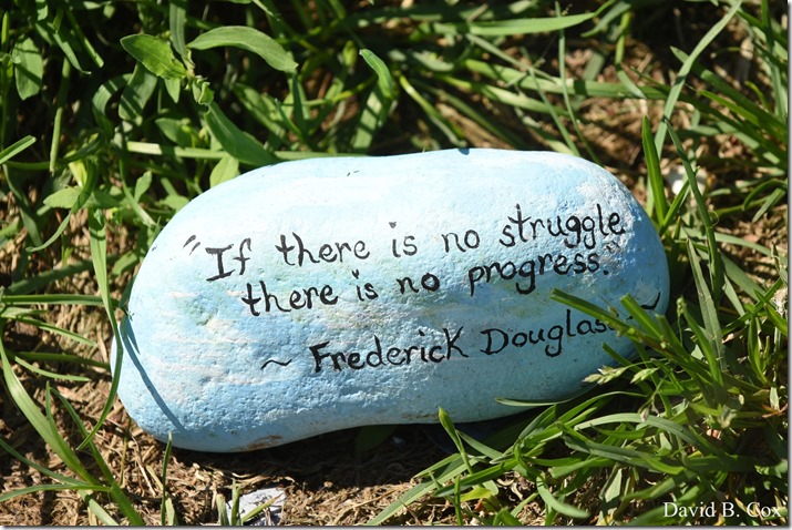 2020 6 1 Blvd painted Rocks & Protest At Rotary 017