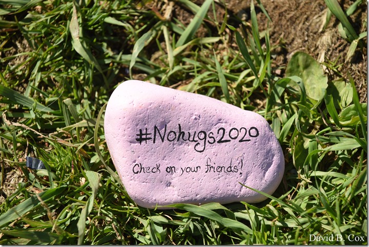 2020 6 1 Blvd painted Rocks & Protest At Rotary 018