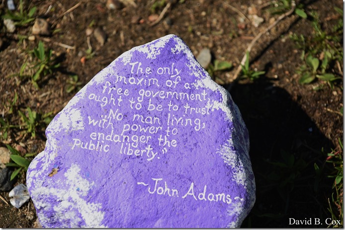 2020 6 1 Blvd painted Rocks & Protest At Rotary 020