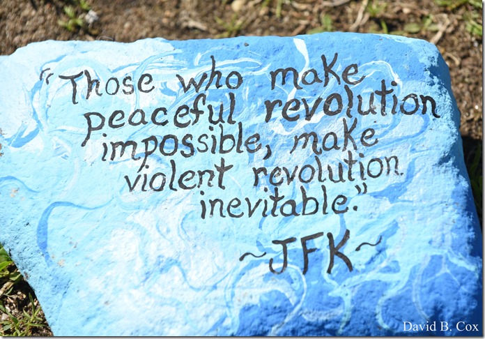 2020 6 1 Blvd painted Rocks & Protest At Rotary 023