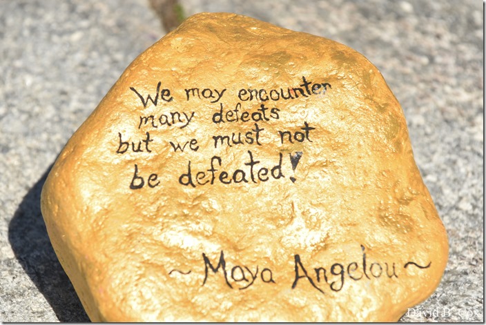 2020 6 1 Blvd painted Rocks & Protest At Rotary 027