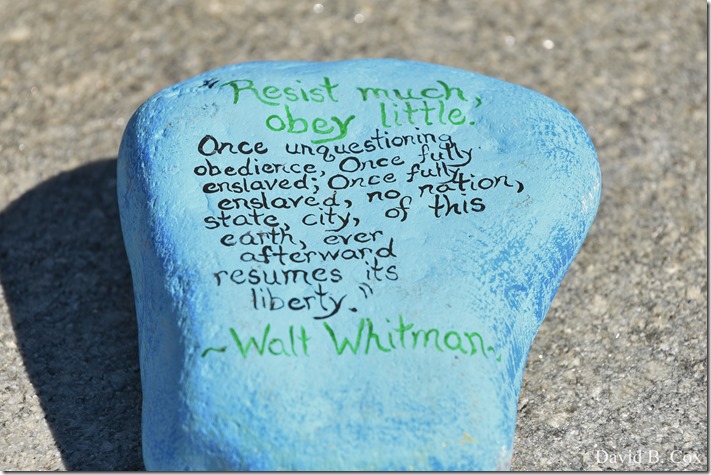 2020 6 1 Blvd painted Rocks & Protest At Rotary 029