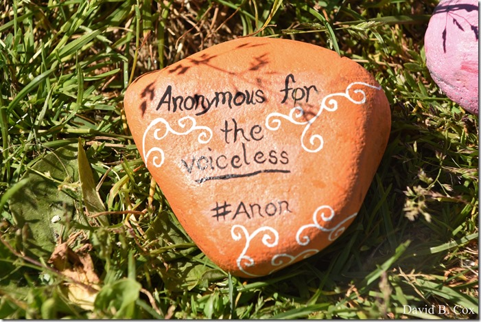 2020 6 1 Blvd painted Rocks & Protest At Rotary 030