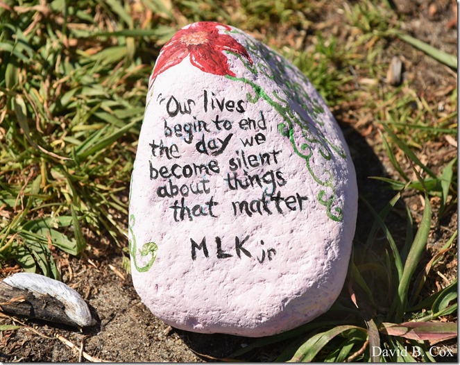 2020 6 1 Blvd painted Rocks & Protest At Rotary 033