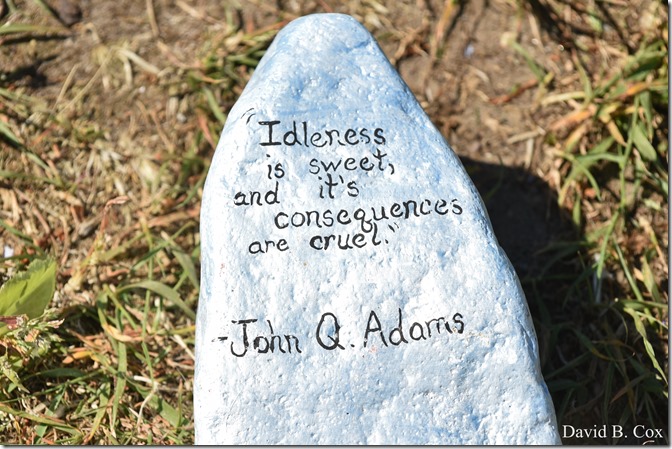 2020 6 1 Blvd painted Rocks & Protest At Rotary 034