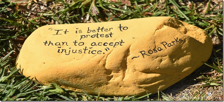 2020 6 1 Blvd painted Rocks & Protest At Rotary 036